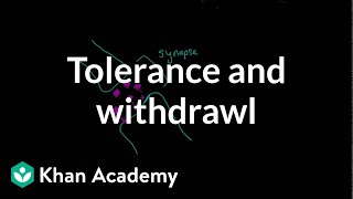 Tolerance and withdrawal  Processing the Environment  MCAT  Khan Academy [upl. by Kiernan]