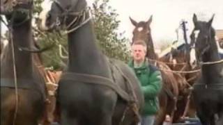 Paardenreddingboot Ameland  clip [upl. by Irual]