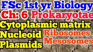 Cytoplasmic matrix nucleoid plasmids ribosomes mesomes fscpart1 ch 6 lecture 4 [upl. by Ailerua]