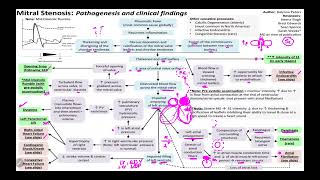 IM Cardiology 9 Valvular Heart Diseases Mitral Stenosis MS Pathophysiology amp Dx [upl. by Hebel]