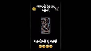 Bagni Udan Oli Chakalio Shu Jane 👑🦅  New Gujarati Status Video shorts trending viral [upl. by Cowles]