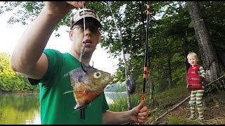 How to catch catfish from the bank  Bank fishing for catfish [upl. by Myrah]