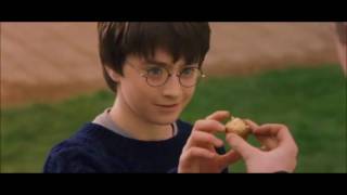 Oliver Wood explaining Quidditch [upl. by Venuti]