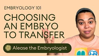 How To Choose Which Embryo To Transfer  Embryologist Explains Embryo Selection In The IVF Lab [upl. by Hittel]