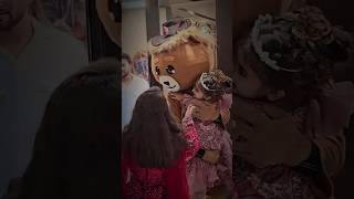 টেডির ফানি ভিডিও funny funny tadyy funny teddybear teddy teddyday [upl. by Elvera]