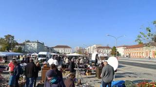 Flohmarkt Potsdam im Lustgarten Stadtmitte [upl. by Elyc]