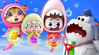 Its Not Food  Safety Rules  Baby Shark  Nursery Rhymes amp Kids Songs  BabyBus [upl. by Nas420]