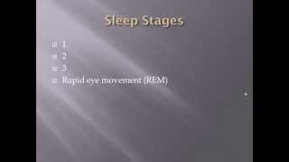 Sleep basics Wave form and sleep stages [upl. by Giza927]