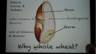 Why Whole Wheat [upl. by Okiam]