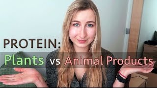 Animal vs Plant Protein Which Has More  Best Vegan Protein Sources [upl. by Avehs452]