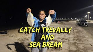 CATCH SEA BREAMS AND TREVALLY SHORE FISHING [upl. by Eeclehc]