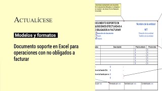 Documento soporte en Excel para operaciones con no obligados a facturar [upl. by Aurilia]