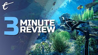 Beyond Blue  Review in 3 Minutes [upl. by Iduj]