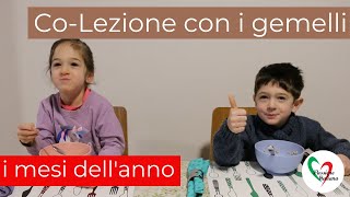 CoLezione con i gemelli i mesi dellanno [upl. by Meehyr]