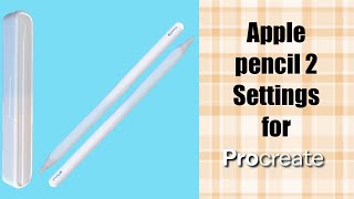 Apple Pencil 2 settings for Procreate [upl. by Hochman318]