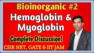 Hemoglobin  Myoglobin  Structure of Hemoglobin and Myoglobin  Biochemistry For CSIR NET and GATE [upl. by Lein]