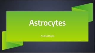 Astrocytes [upl. by Ferris]