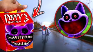 Do Not Order CATNAP HAPPY MEAL From MCDONALDS POPPY PLAYTIME CHAPTER 3 SECRETS [upl. by Hidie]