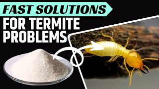 How to Kill Termites the Natural Way [upl. by Verne]