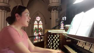 “Go Make of All Disciples” ELLACOMBE hymn on pipe organ [upl. by Arraes159]