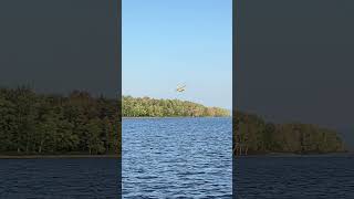 20240920 A water aircraft was landed on Ottawa River [upl. by Center]