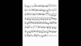 FrDevienne RONDO from Flute Concerto nr7 e minoraccompaniment [upl. by Eecyaj222]