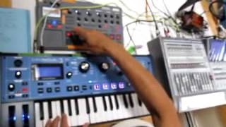 crYstal juNgles  Novation Mininova  Korg E2 [upl. by Asilrak]