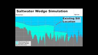 Saltwater wedge model simulation [upl. by Aticilef302]