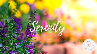 10 Minute Guided Imagery Meditation for Serenity  Private Secret Garden [upl. by Nesta]