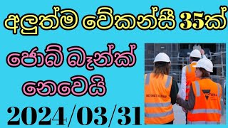 new job vacancies 2024goverment jobsjob vacancy today jobsjobs in srilanka job guide sinhala [upl. by Stargell]