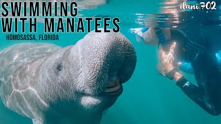 Swimming with Manatees in Florida  Homosassa River amp Crystal River Tours  Our Full Experience [upl. by Artenahs]