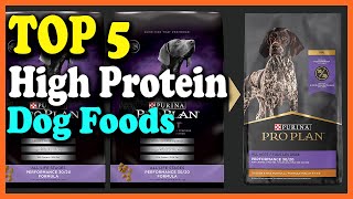 ✅Top 5 Best High Protein Dog Foods Reviews in 2023 [upl. by Correy]