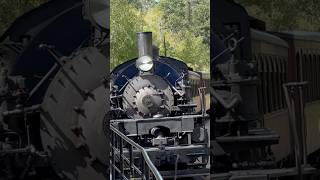 Unusual and Rare Steam Locomotive shorts trains [upl. by Mixam]