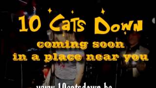 10 cats down trailer [upl. by Nebeur473]