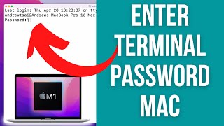 How To Enter Password Into Terminal On A Mac [upl. by Alleahcim]