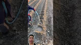 Mẹo trồng rau hoa đều đẹp của nông dân nước ngoài nongdan famer farmtips agriculture [upl. by Rayna]