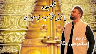 YA ALI YA ALI HAIDRI HAIDRI  Sahir Ali Bagga  Qaseeda  Official Video [upl. by Elden]