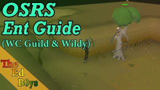 OSRS Ent Guide Wildy amp Woodcutting Guild  Make money w Woodcutting [upl. by Eldred]