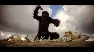 2001 A Space Odyssey Monkey Scene  O Fortuna Carl Orff [upl. by Eikcid]