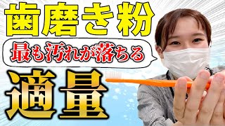 【歯磨き粉 おすすめ ホワイトニング】歯医者が本気でオススメする歯磨き粉の適量！ [upl. by Sidhu797]