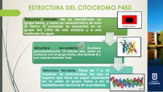 Biotransformación de fármacos por el citocromo P450 [upl. by Nivlag]