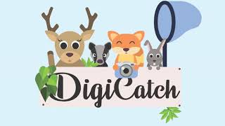 DigiCatch [upl. by Tol]