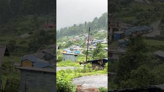 M 1 block forest village Bagora Darjeeling West Bengal pahadi [upl. by Zingg]