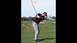 Collin Morikawa golf swing analysis shorts golfshorts golf golfswing alloverthegolf [upl. by Zane188]