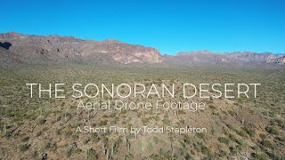 THE SONORAN DESERT Aerial Drone Footage [upl. by Gnat]