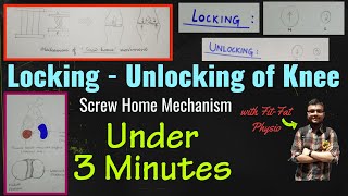 LOCKING  UNLOCKING  SCREW HOME MECHANISM OF KNEE JOINT🦵 Knee Kinematics  2 minutes Biomechanics [upl. by Koetke]