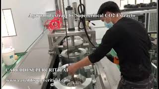 Agarwood Oil Extraction By Supercritical CO2 Extraction System [upl. by Gilba]