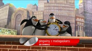 Pingwiny z Madagaskaru zapowiedź 2013 TV Puls [upl. by Postman]