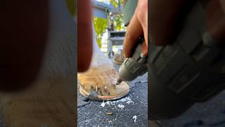 drilling into hoof horse hoof horsecare satisfying [upl. by Janifer]