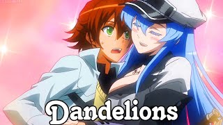 Akame Ga Kill「AMV」 Dandelions [upl. by Alleon615]